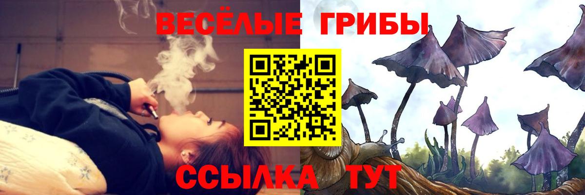 Галлюциногенные грибы GOLDEN TEACHER  где можно купить наркотик  Стрежевой  Вход с VPN 